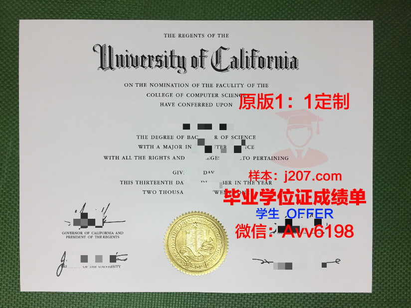 图卢兹第三大学毕业证照片(图卢兹第三大学毕业证照片是几寸的)