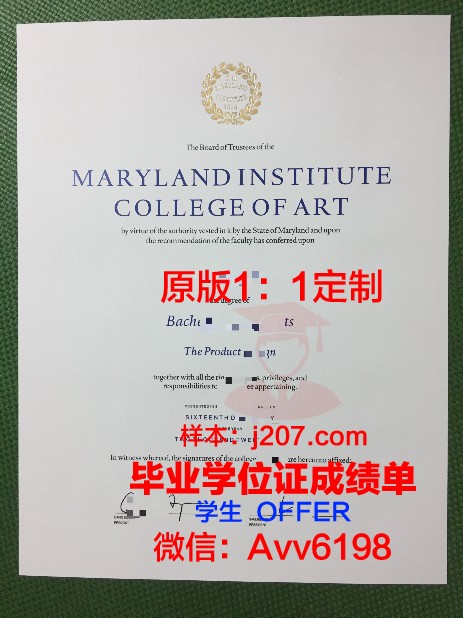 图卢兹高等美术与表演学院毕业证高清图(图卢兹艺术学院)