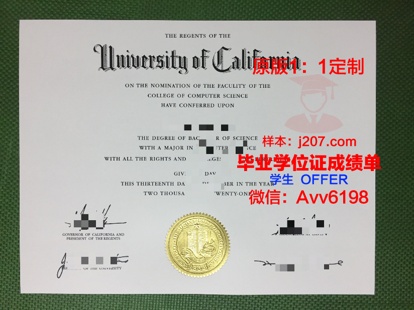 图卢兹第一大学毕业证定制：探索学术与工艺的完美结合