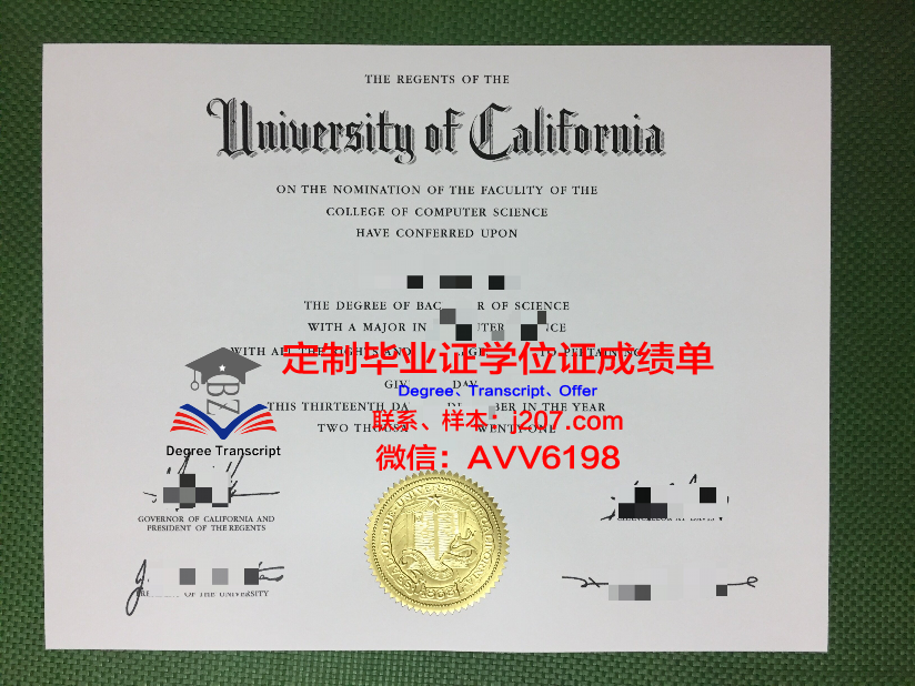 俄罗斯科学院西伯利亚分院油气地质学与地球物理学研究所毕业证:开启油气领域的璀璨未来