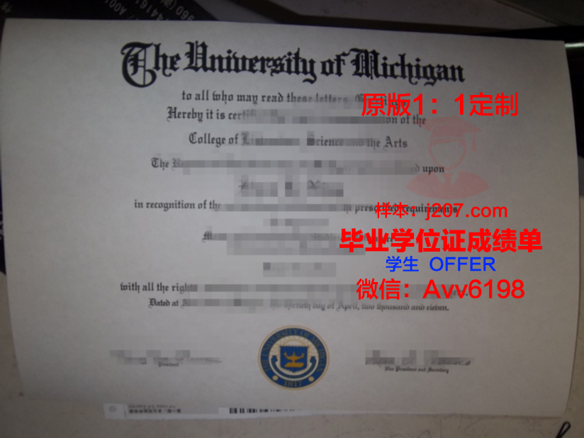图卢兹第一大学毕业证定制：探索学术与工艺的完美结合
