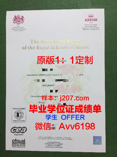 图卢兹高等艺术学院毕业证书图片高清(图卢兹高等音乐学院)