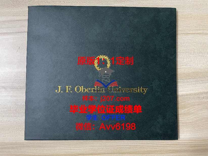 图卢兹第一大学毕业学位