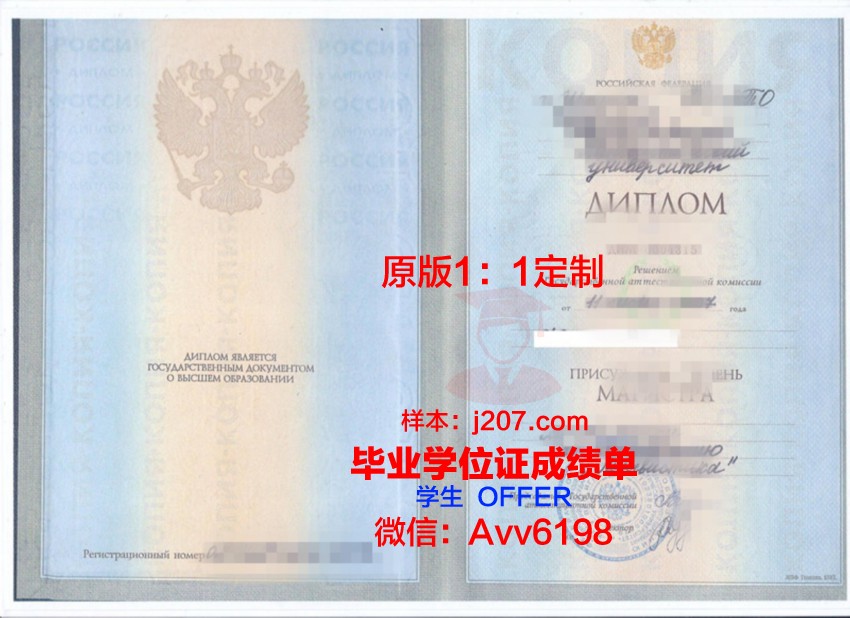 俄罗斯国立知识产权学院毕业证是什么样呢(俄罗斯知识产权的制度设计)