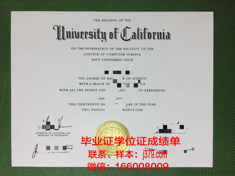 费大毕业证成绩单：一张纸的重量与人生的价值