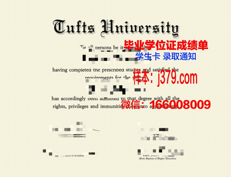 塔夫斯大学毕业证照片(塔夫斯大学学费)