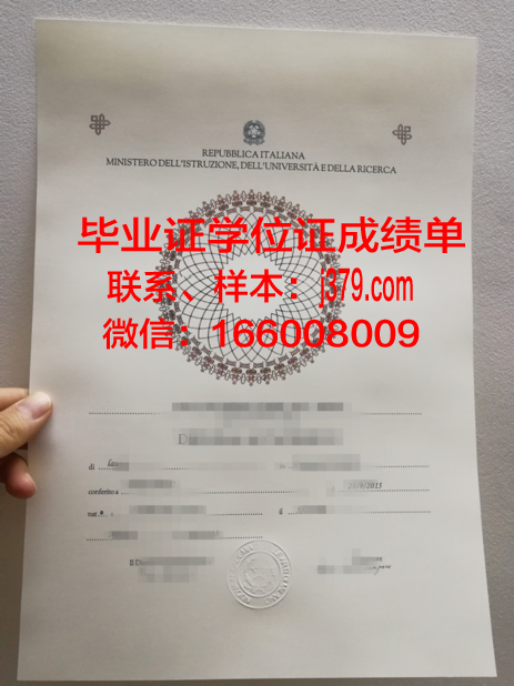 国际商业与技术学院毕业证书图片模板(国际商务学院logo)
