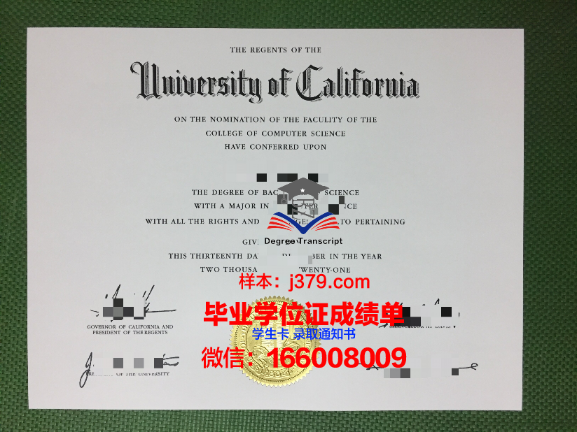 费希塔迪普霍尔茨应用技术大学毕业证封面