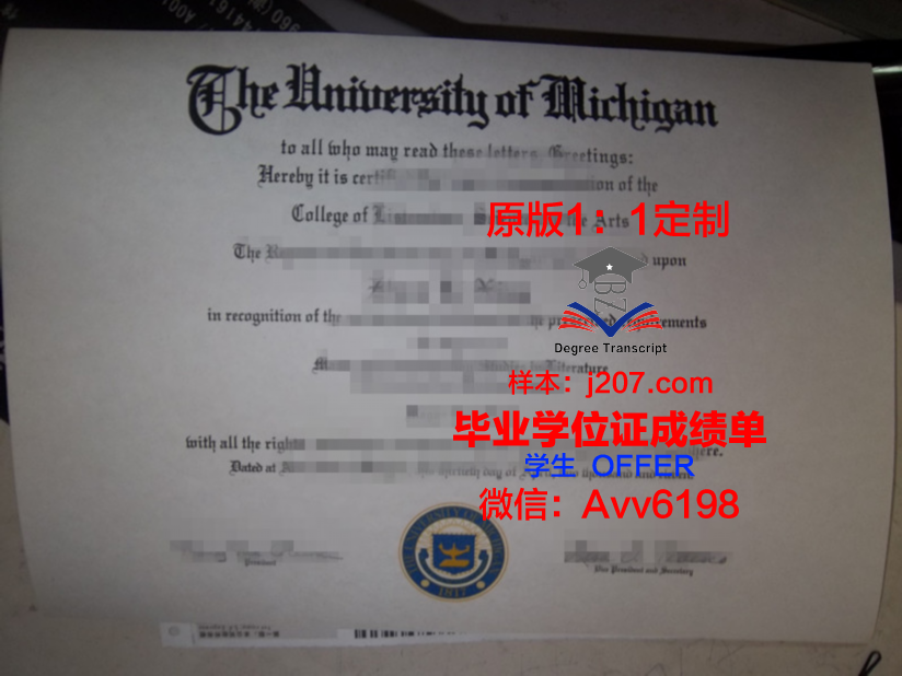 图宾根大本科毕业证:跨越时空的学术荣耀