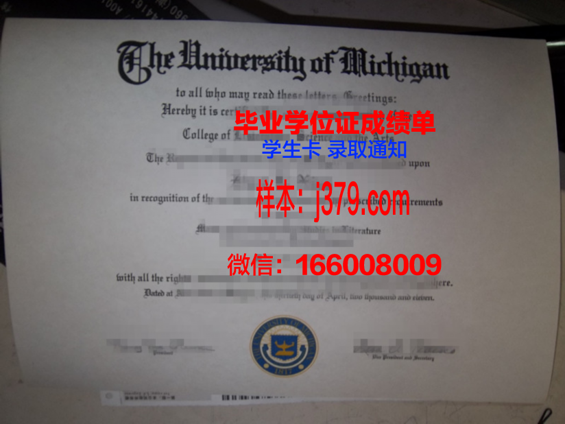 费希塔迪普霍尔茨应用技术大学毕业证封面