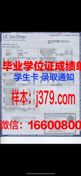 塔大成绩单:一份见证成长与收获的珍贵记录