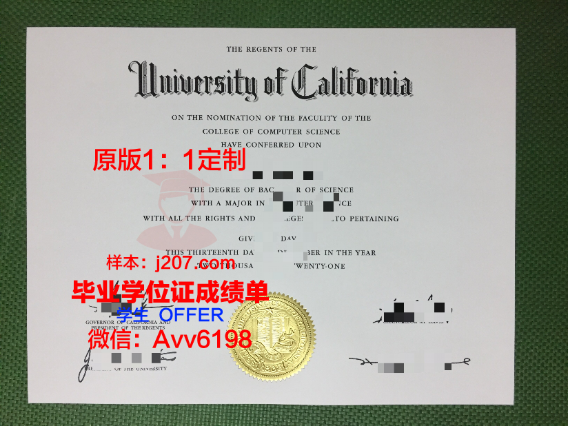 图卢兹商学院毕业证电子版