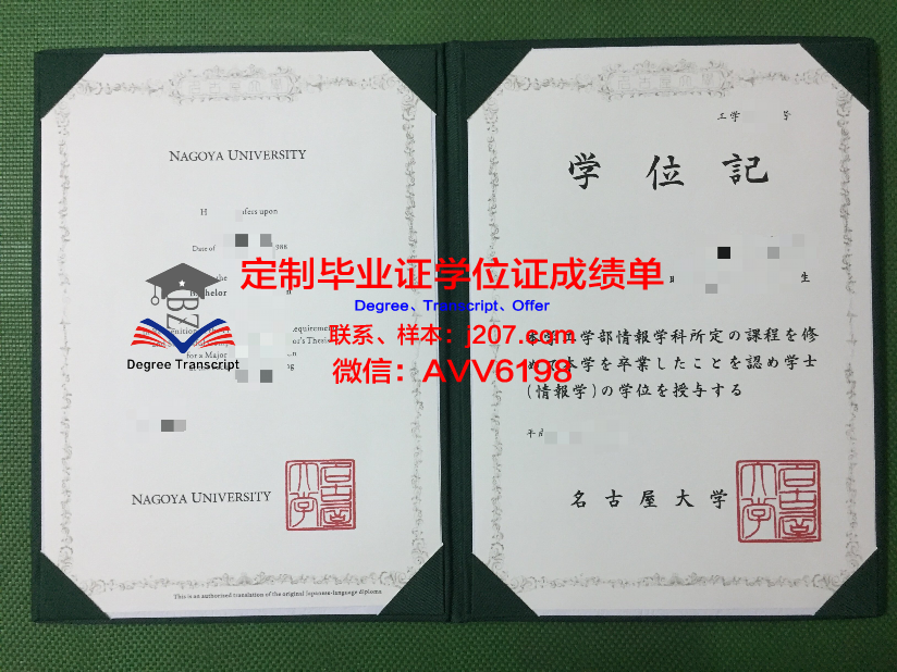 国际观光专门学校名古屋校区研究生毕业证(国际观光学科)