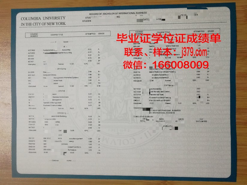 贾伊恩大学学位成绩单定制：探索学术诚信的边界