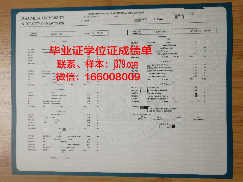 塔大成绩单:一份见证成长与收获的珍贵记录