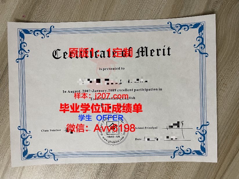 图尔-昂热-勒芒艺术与设计高等学院博士毕业证书