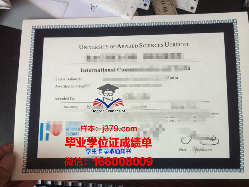 塞伊奈约基应用科学大学学历证书(塞伊奈约基图书馆)