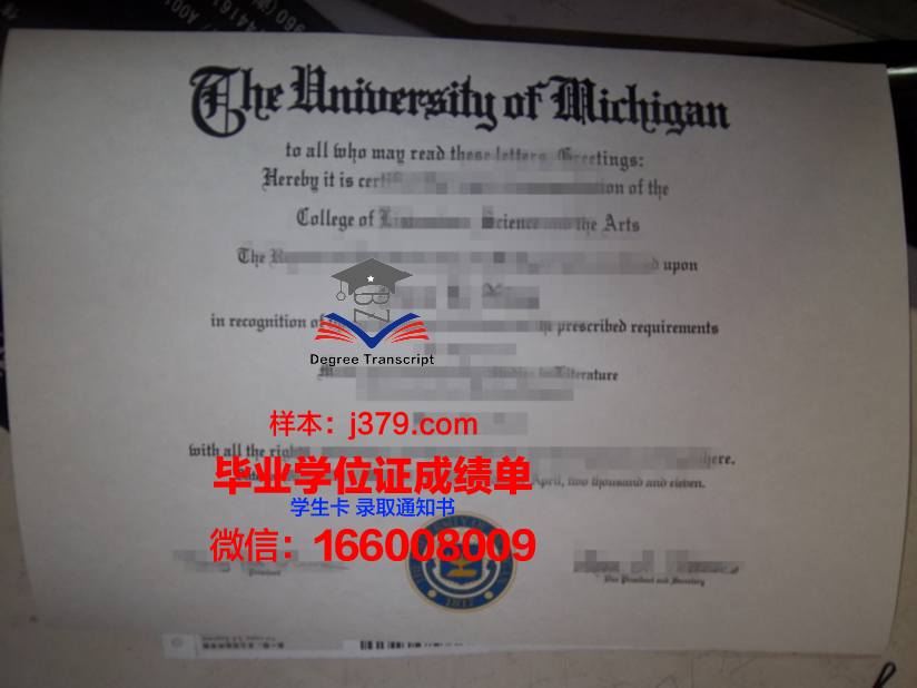 越南外交学院毕业证书什么颜色(外交学院国际教育学院毕业证)