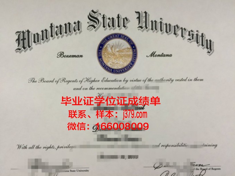 国际法律经营大学院大学博士毕业证书(国际法博士就业前景)