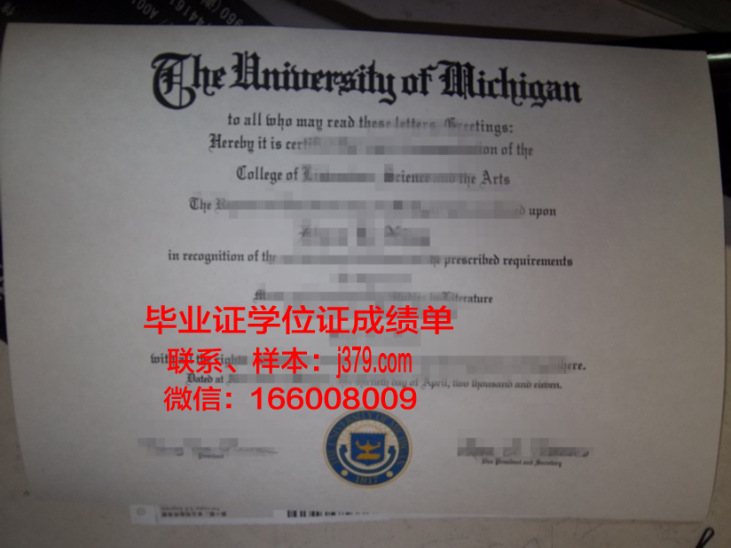 塞卜哈国际动态管理学院硕士（研究生）毕业证 SIDMA College diploma