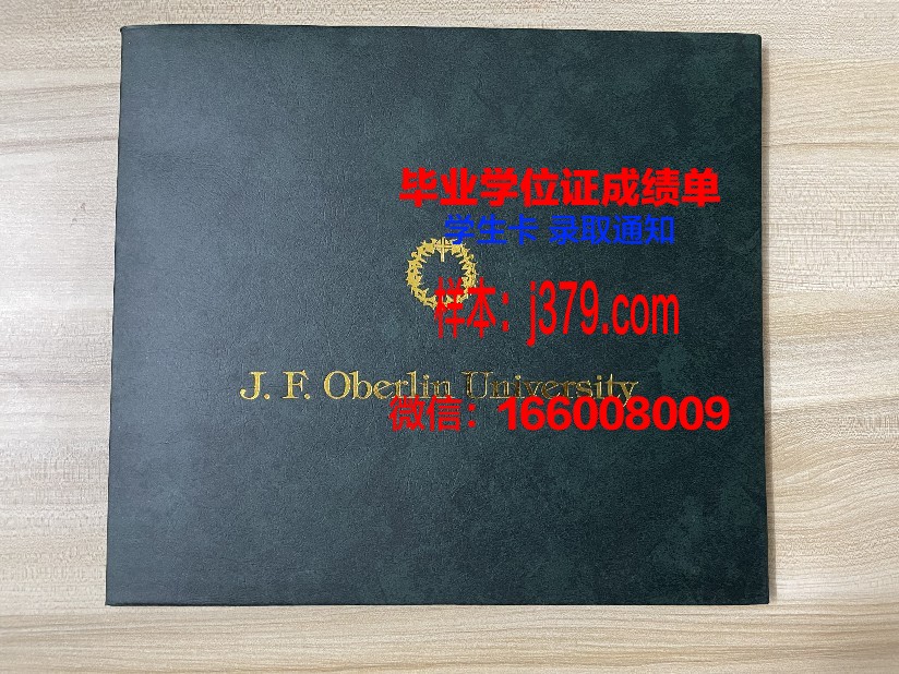 延雪平大学毕业学位