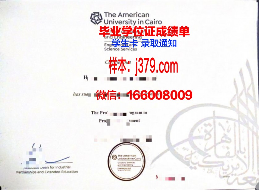 开罗大学毕业证书模板(开罗大学入学条件)