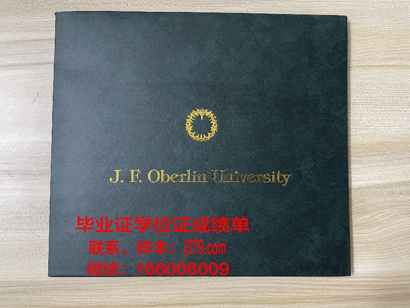 路易斯大学校园卡(美国路易斯大学好不好)