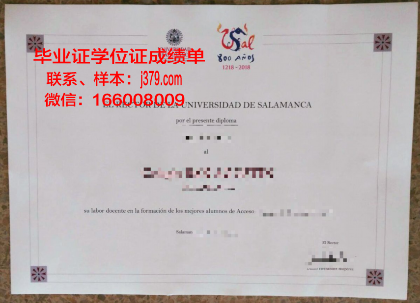 费撒巴拉政府大学学院学生证(费萨拉巴德政府学院)