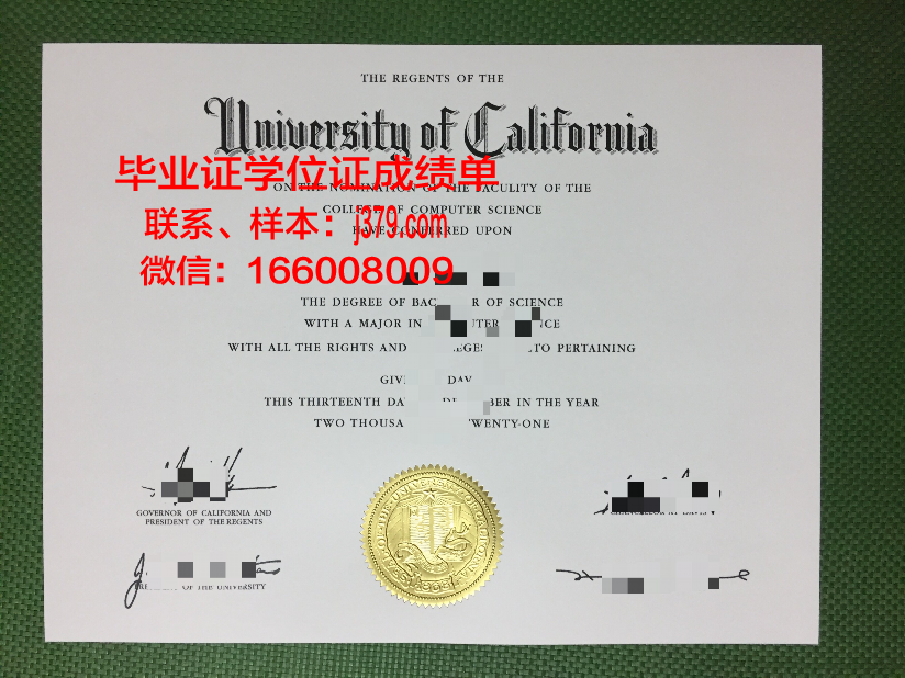 赫尔辛基大学毕业证案例(赫尔辛基大学本科申请)