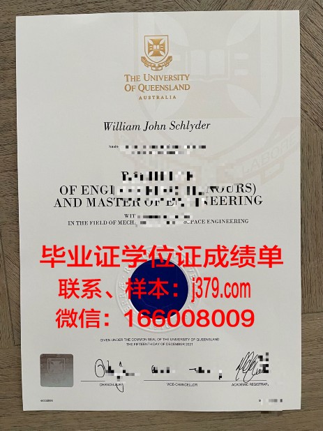 延雪平大学毕业学位