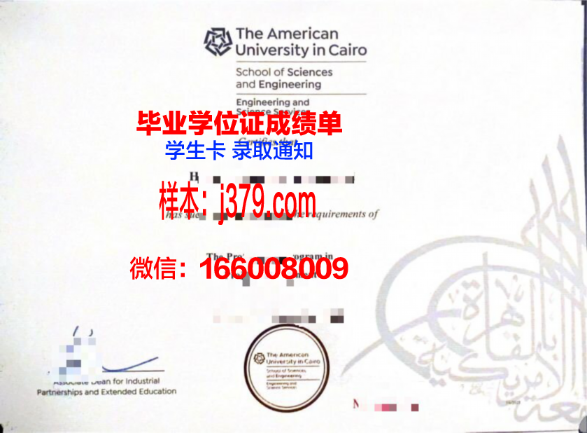 开罗大学毕业证成绩单(开罗大学毕业证成绩单怎么打印)