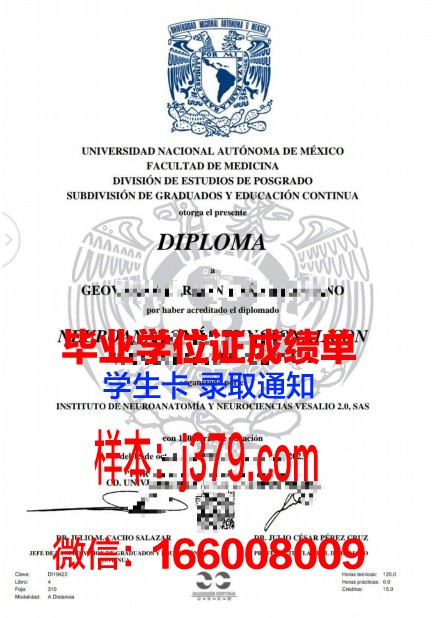 墨西哥巴耶大学毕业证好找工作吗(墨西哥巴耶大学毕业证好找工作吗多少钱)