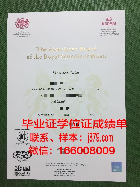 费尔莫音乐学院毕业证成绩单:音乐的印记与人生的价值
