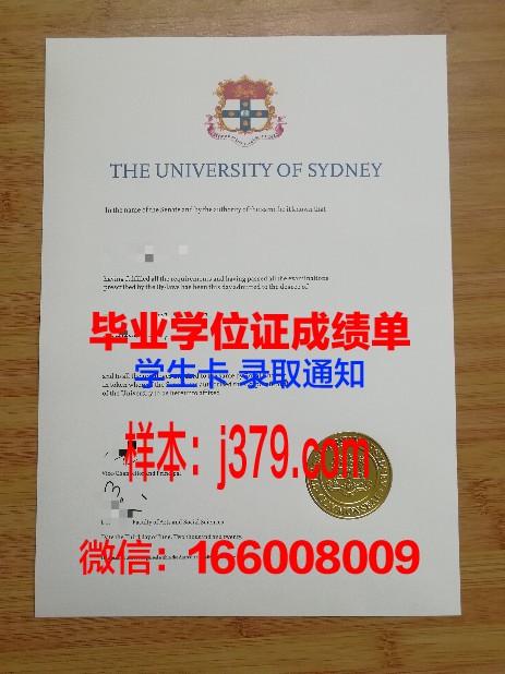悉尼大学成绩单(悉尼大学成绩单实图)