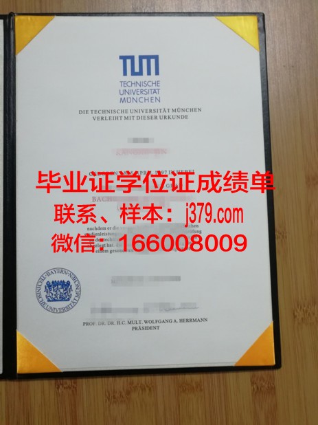 慕尼黑应用技术大学研究生毕业证(慕尼黑工业大学研究生要求)