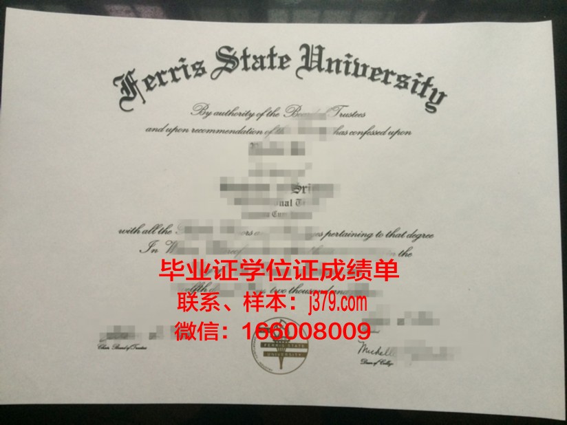 费里斯州立大学肯德尔艺术与设计学院毕业证什么样子(费里斯州立大学国内认可)
