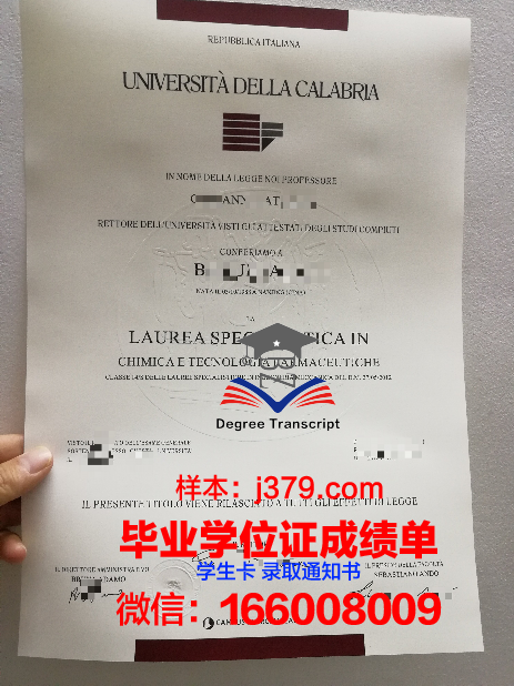 意大利学院硕士毕业证：跨越国界，实现梦想的证明