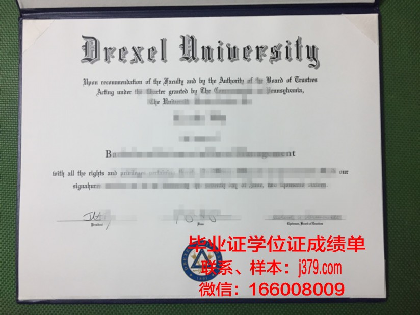 塞尔库克大学毕业证成绩单：承载知识与荣耀的证明