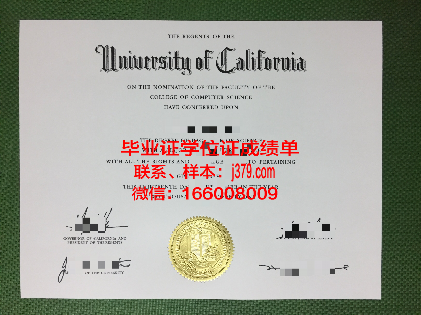 费大毕业证：一张纸背后的价值与使命