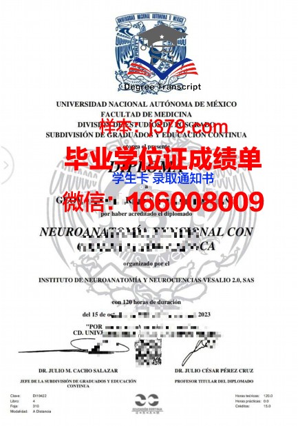 墨西哥巴耶大学毕业证长什么样(墨西哥高等教育)