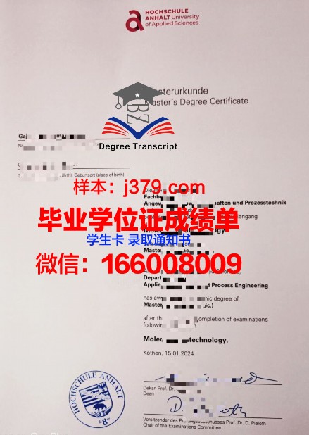 路德维希港应用技术大学博士毕业证书