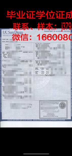 康塞普西翁大学证书成绩单(康塞普西翁国际机场)