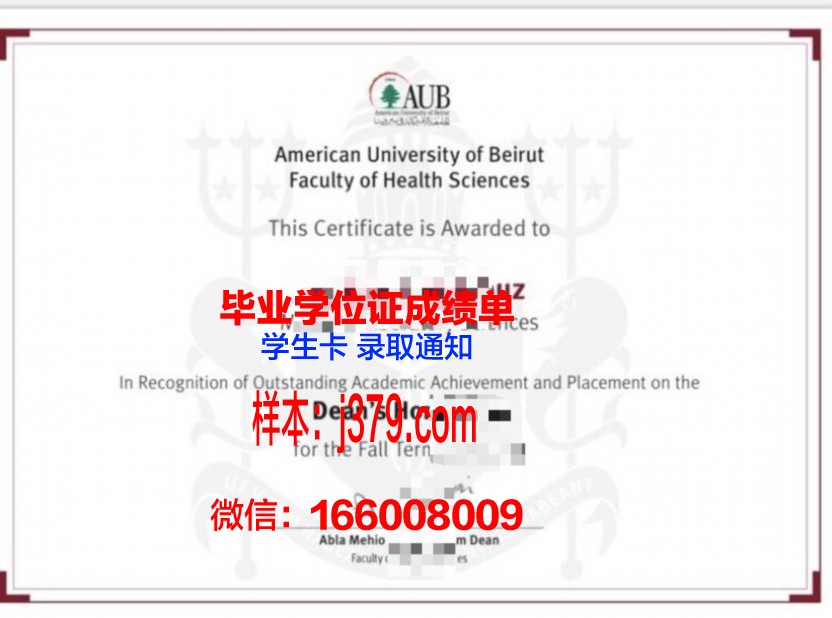 贝鲁特美国大学毕业证长什么样(贝鲁特美国大学怎么样)