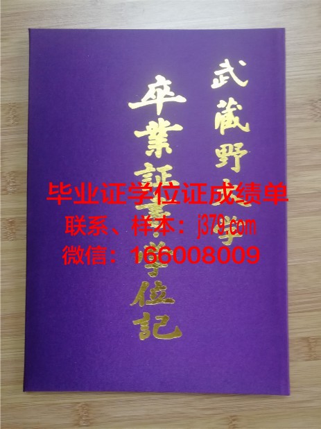 费希塔迪普霍尔茨应用技术大学毕业证壳子