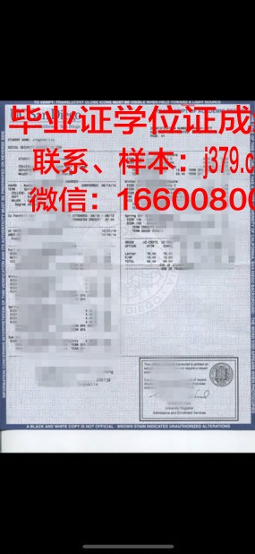 塞尔吉奥·阿博莱达大学成绩单：一位优秀学子的成长轨迹