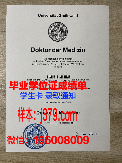 塔夫斯成绩单：探索教育评价的新视角