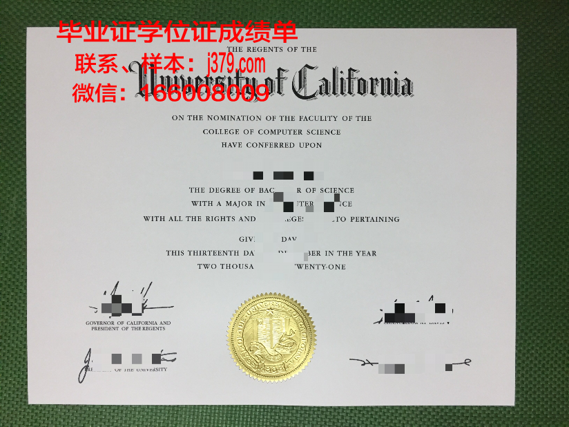 塔什干国立经济大学本科毕业证:通往未来的金色通行证