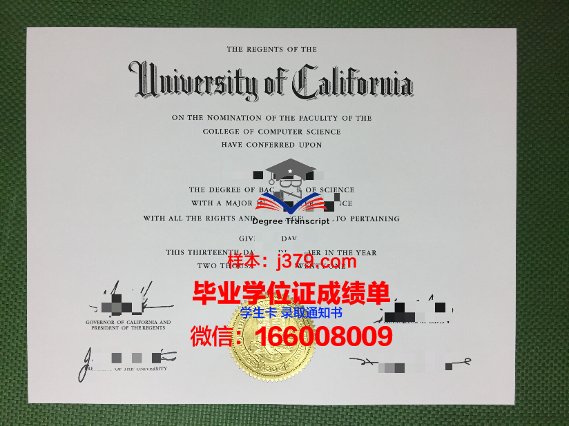 费希塔迪普霍尔茨应用技术大学毕业证等级