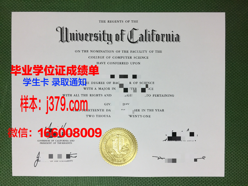 费希塔迪普霍尔茨应用技术大学毕业证尺寸