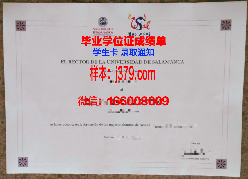 费撒巴拉政府大学学院本科毕业证(费萨拉巴德政府学院)